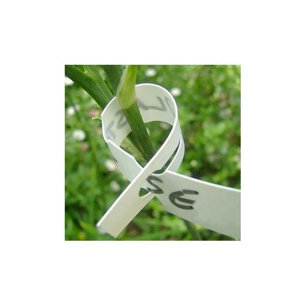 Sleufetiketten - Plantenlabels Wit - Set Van 1000 Stuks 2 Sleufetiketten - Plantenlabels Wit - Set Van 1000 Stuks - Afbeelding 2