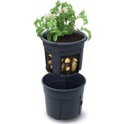 EDIALUX Verkoop 2025 -EDIALUX Verkoop 2025 1645716390 2 600