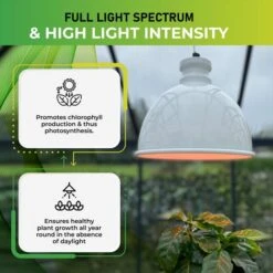 Groeilamp Led Florabooster 500 - 6,5W - Wit -EDIALUX Verkoop 2025 1677504263 4 600