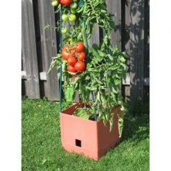 Plantentoren Maxitom Met Waterreservoir - Terracotta -EDIALUX Verkoop 2025 1677510667 3 600