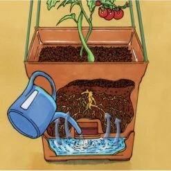 Plantentoren Maxitom Met Waterreservoir - Terracotta -EDIALUX Verkoop 2025 1677510668 5 600