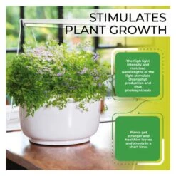 Led Groeilamp Florabooster 200 - 18W - 120 Cm -EDIALUX Verkoop 2025 1677575756 3 600