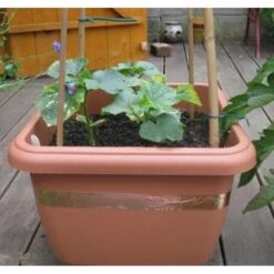 Anti-slakken Kopertape 4 M -EDIALUX Verkoop 2025 antislakken kopertape 1484052941 3 600