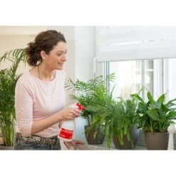 Birchmeier Foxy Plus -EDIALUX Verkoop 2025 birchmeier foxy plus 1496510253 2 600