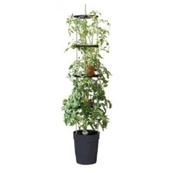 Tomatentoren 150 Cm Met Bewateringssysteem - Grijs