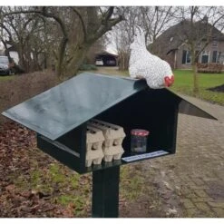 Nieuwsgierige Kip Tuinbeeld -EDIALUX Verkoop 2025 nieuwsgierige kip 1609930328 1 600