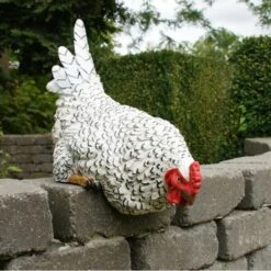 Nieuwsgierige Kip Tuinbeeld -EDIALUX Verkoop 2025 nieuwsgierige tafelkip 1568377839 3 600