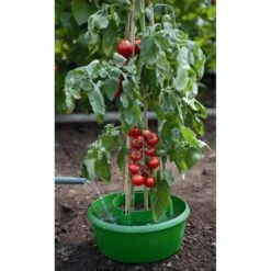 Plant- En Gietpot Groen - Set Van 3 Stuks -EDIALUX Verkoop 2025 plant en gietpot 1484054799 4 600