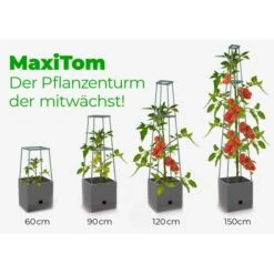 Plantentoren Maxitom Met Waterreservoir - Antraciet -EDIALUX Verkoop 2025 plantentoren maxitom antraciet 1677571236 4 600