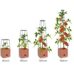 Plantentoren Maxitom Met Waterreservoir - Terracotta -EDIALUX Verkoop 2025 plantentoren maxitom terracotta 1680165024 1 600