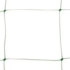 Klimgaas Erwten En Bonen 2m × 10 M -EDIALUX Verkoop 2025 steungaas klimgaas 2 x 10 meter 1484065488 1 600