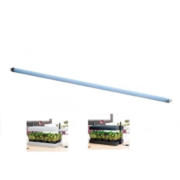 TL Lamp - 55 Cm Groeilicht - 24 Watt - Set Van 1 Stuks 1 TL Lamp - 55 Cm Groeilicht - 24 Watt - Set Van 1 Stuks