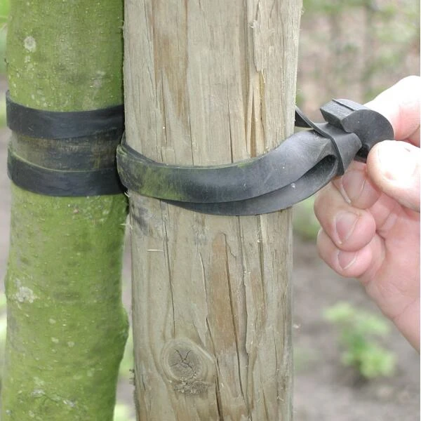 Tree-fix Boombinder 30 Cm/15 Mm - Set Van 10 Stuks 2 Tree-fix Boombinder 30 Cm/15 Mm - Set Van 10 Stuks - Afbeelding 2