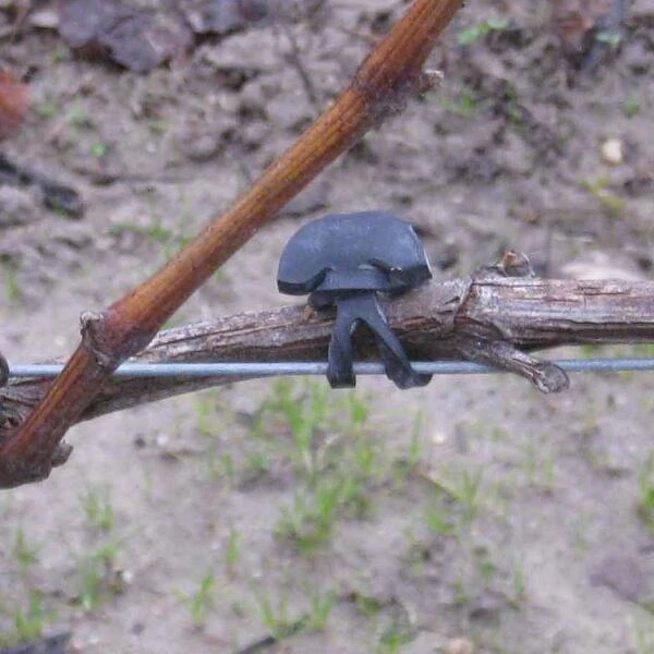 Vigne-fix 7 Cm Plantenbinder - 500 G 2 Vigne-fix 7 Cm Plantenbinder - 500 G - Afbeelding 2