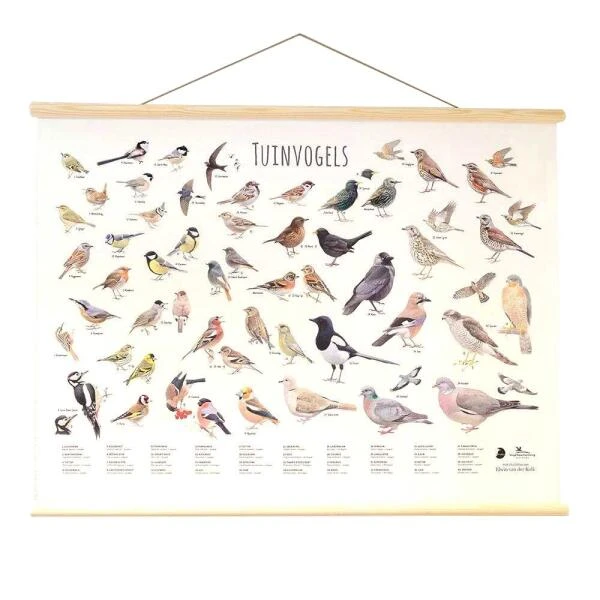 Wanddoek Tuinvogels 1 Wanddoek Tuinvogels