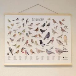 Wanddoek Tuinvogels 5 Wanddoek Tuinvogels -EDIALUX Verkoop 2025 wandkaart tuinvogels 1541600712 1 600