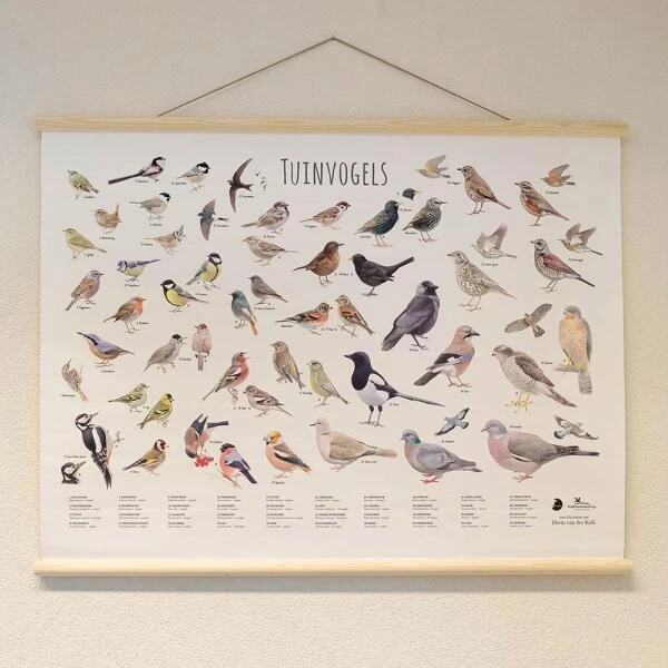 Wanddoek Tuinvogels 3 Wanddoek Tuinvogels - Afbeelding 3