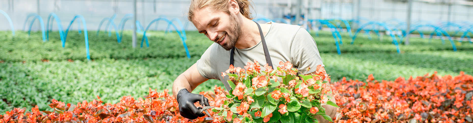 EDIALUX Verkoop 2025 -EDIALUX Verkoop 2025 z6367866818824 c7c7b3988441c486ae27c8fe0a52678a